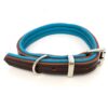 Padded Leather Dog Collar