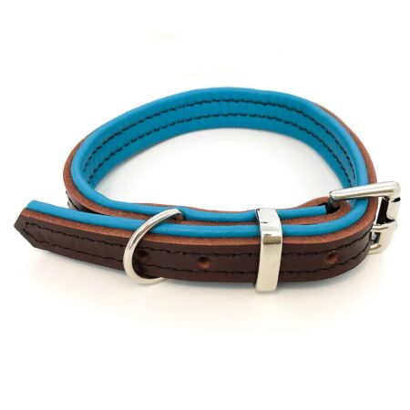 Padded Leather Dog Collar