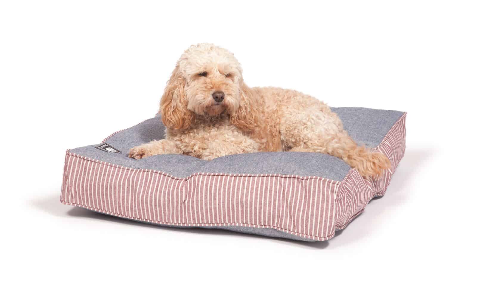 Red stripe and denim look box cushion dog bed