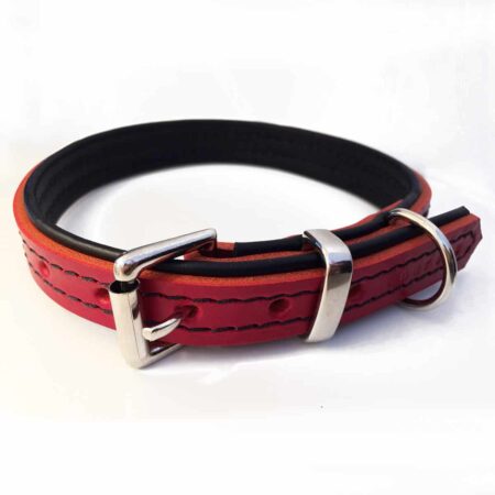 Red leather dog collar