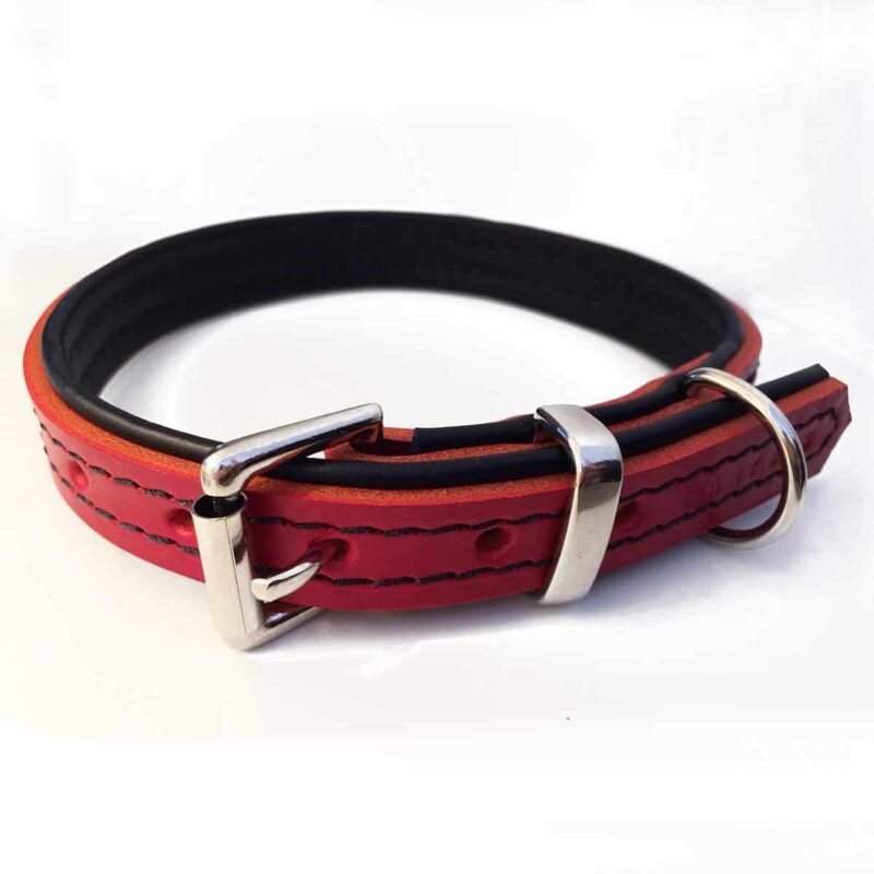 Red leather dog collar