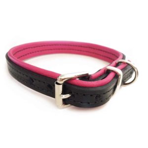 Black and pink padded leather dog collar