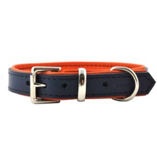 Navy blue and orange padded leather dog collar