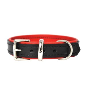 Luxury leather puppy collar