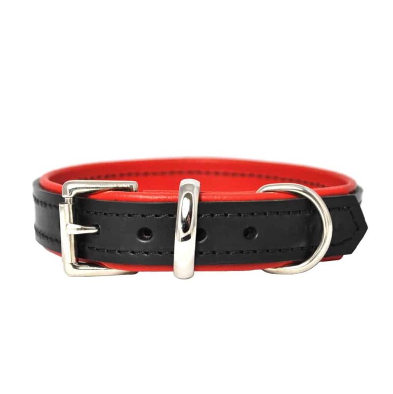 Black dog collar