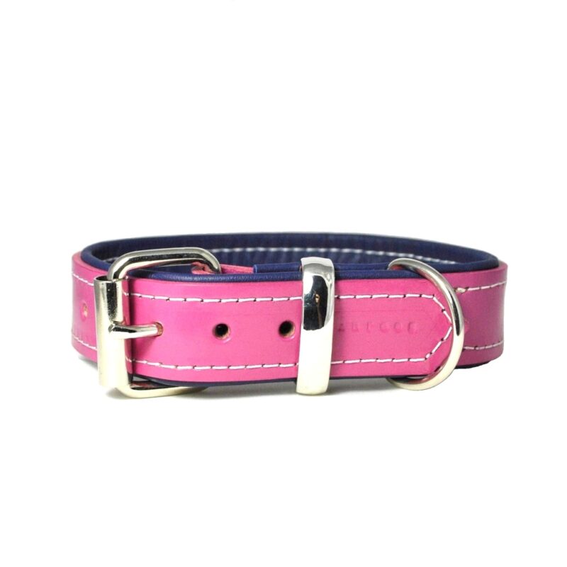 Designer padded leather rose pink and navy blue padded dog collar with matching lead