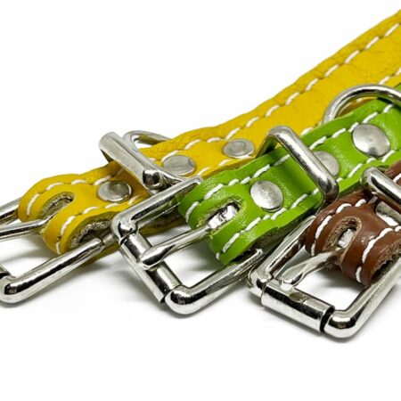 Soft padded leather small dog and puppy dog collar