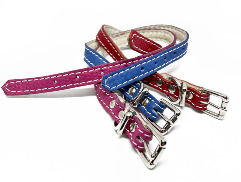 Soft padded leather small dog and puppy dog collar