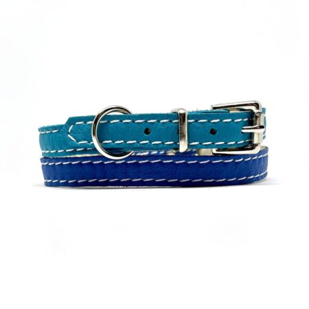 Soft padded leather small dog and puppy dog collar