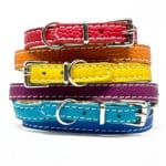 Leather puppy collars