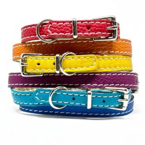 Leather puppy collars
