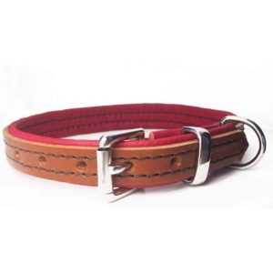 Tan and red padded leather dog collar