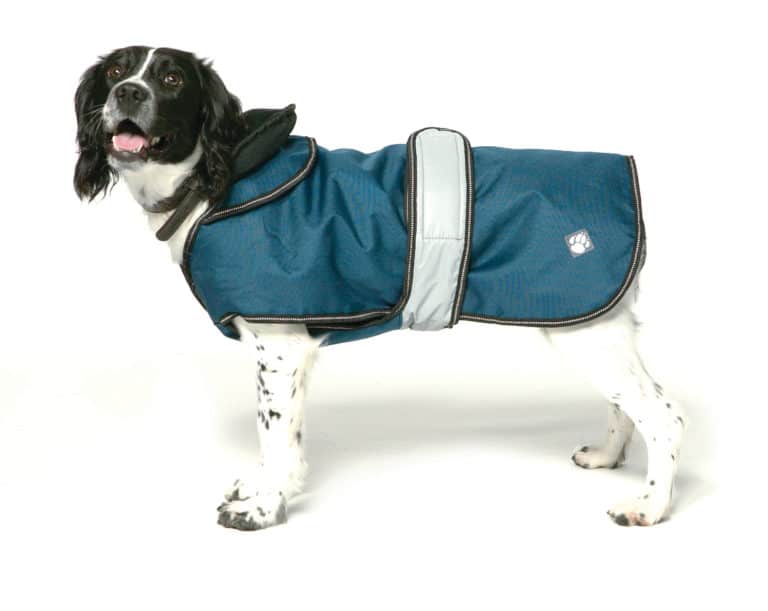 Dog coats