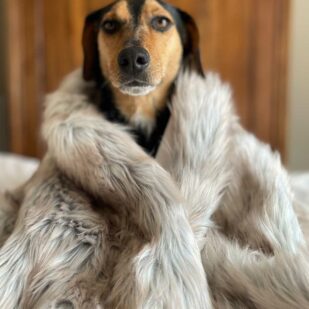 faux fur dog blankets