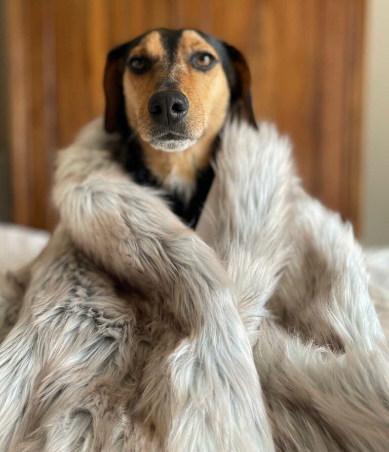 faux fur dog blankets