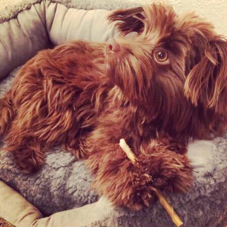 Mia in her slumber bobble bed.