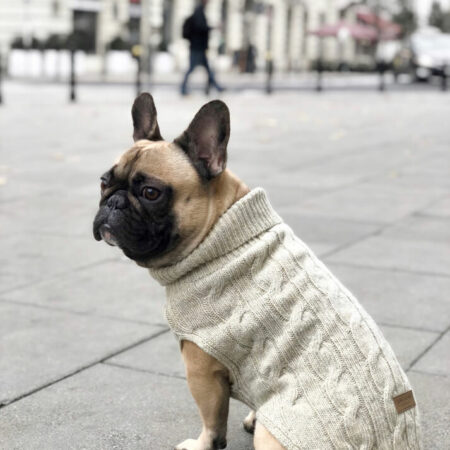 taupe dog sweater