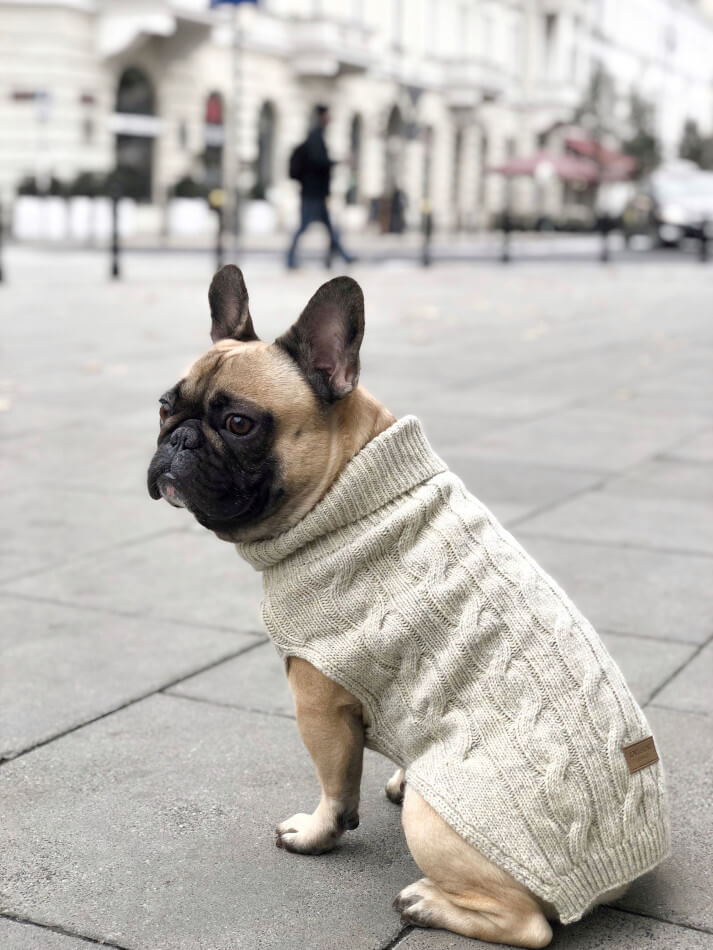taupe dog sweater
