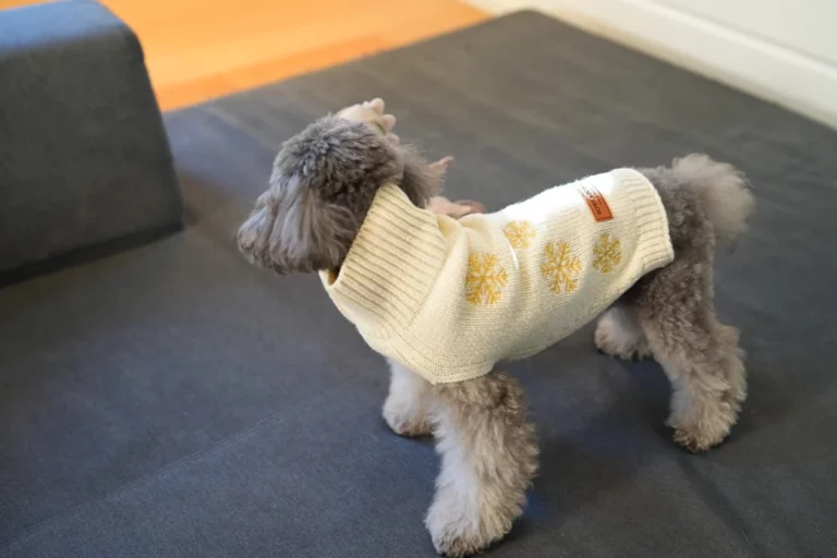 Christmas Cream Snowflake Dog Jumper - Made with lambswool