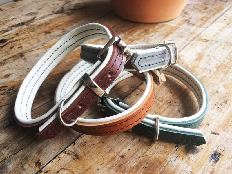 Group of padded leather dog collars, tan, green, brown and cream