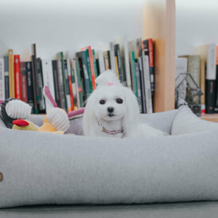 Bowl and Bone Grey Bolster Dog Bed LOFT