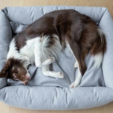 Grey dog beds