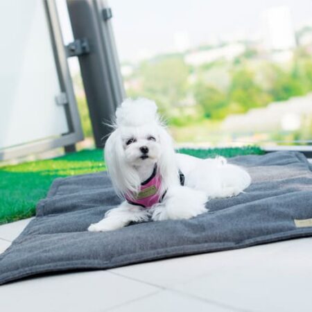 Portable graphite grey LOFT dog mat