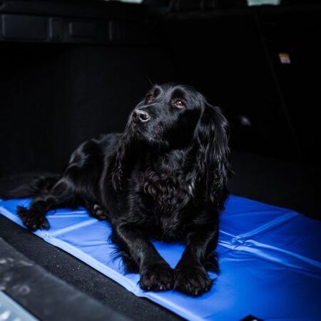 Alternative view of Dog cooling mattress