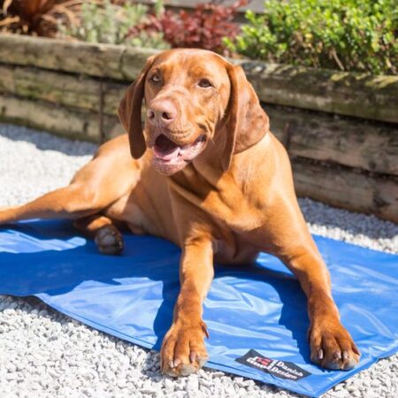 Dog Cooling Mattress