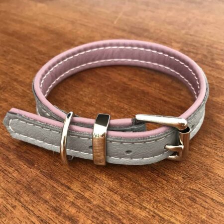 Small dog collars