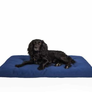 Dog travel bed roll, BLUE, organic