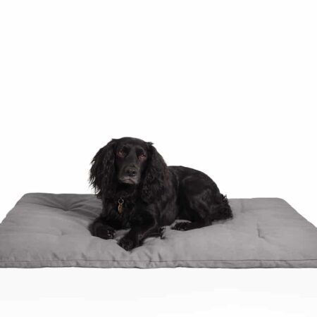 Dog travel bed roll, grey, organic