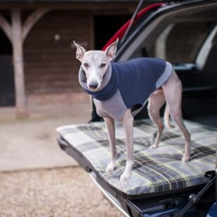 Car boot topper protection for dogs