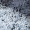 New Arctic wolf - Out of stock