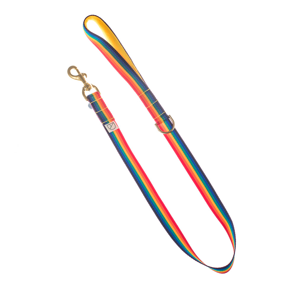 Rainbow Pride made to measure Dog Harness and lead