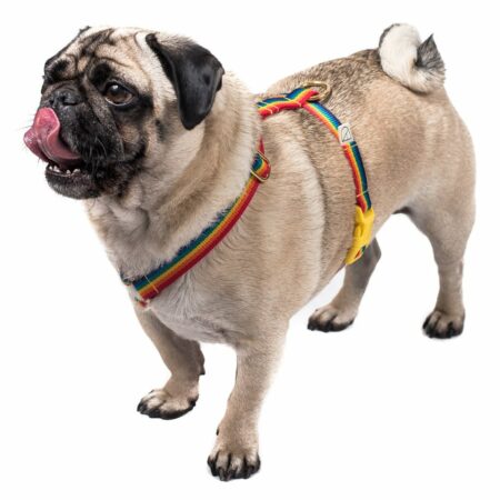 Luxury Pride dog harnesses