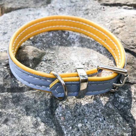 Small dog collars