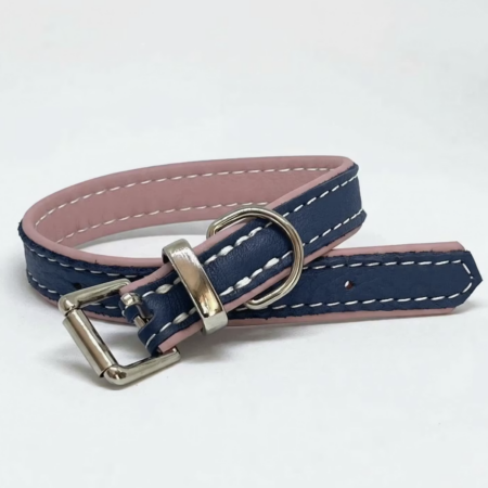 Soft padded leather small dog and puppy dog collar