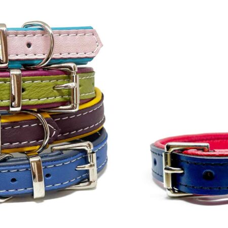 Leather dog collars