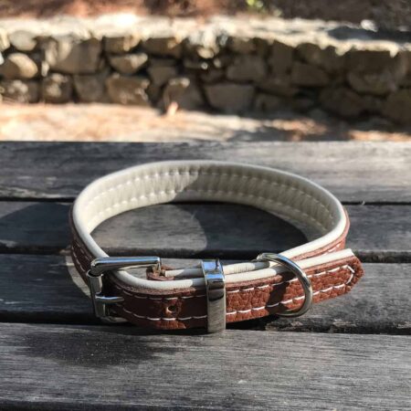 Leather dog collars
