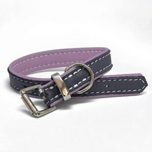 Soft padded leather small dog and puppy dog collar