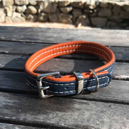 Small dog collars