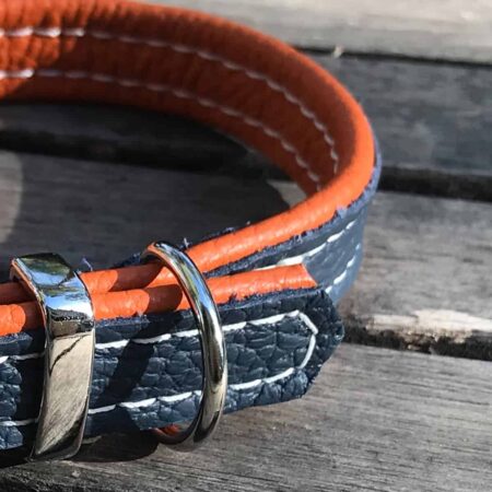 Navy blue and orange soft padded leather dog collar for small dogs and puppies