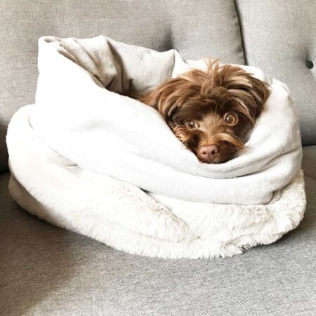 Faux fur dog sleeping bag