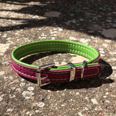 Magenta and lime padded small dog collar
