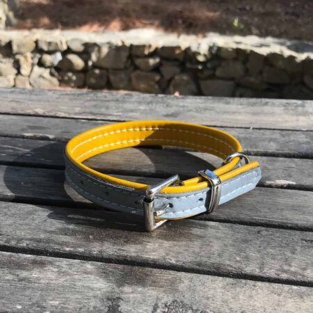 Small dog collars