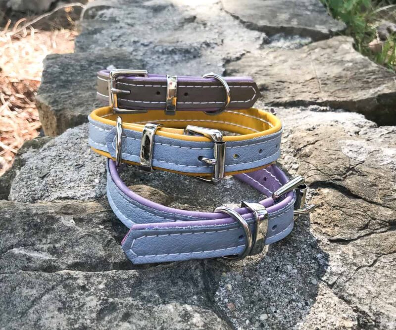 Padded Leather Small Dog and puppy collars