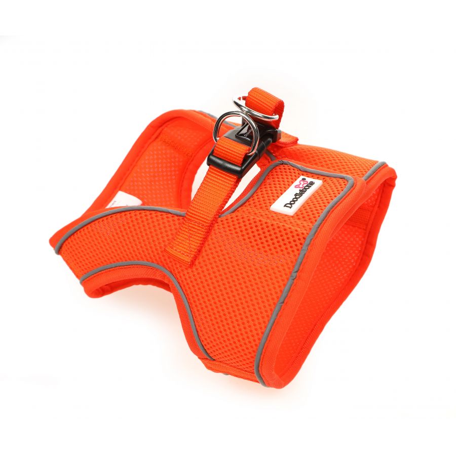 Dog harness orange