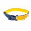 Navy and yellow  - 20 mm navy not available