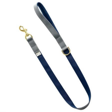 Luxury gray blue WEBBING Dog LEAD
